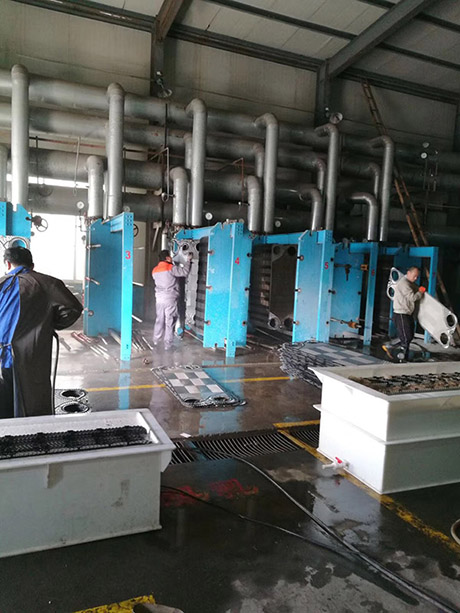 板式换热器清洗与维修